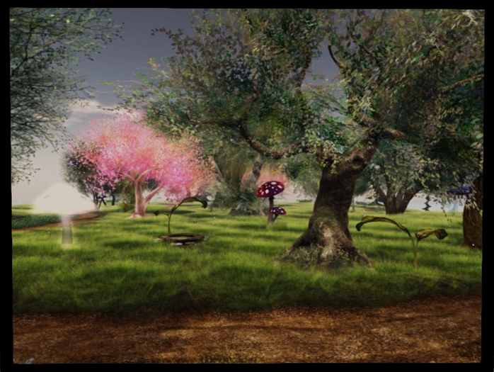 Mystical Woods [B]