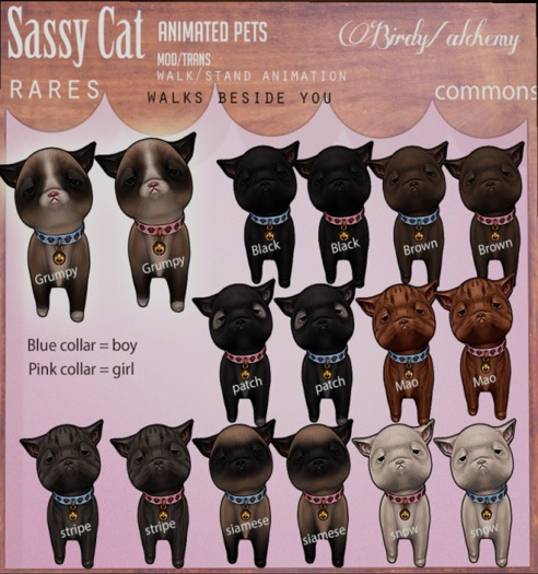 Alchemy/Birdy - Sassy Cat - B - Siamese