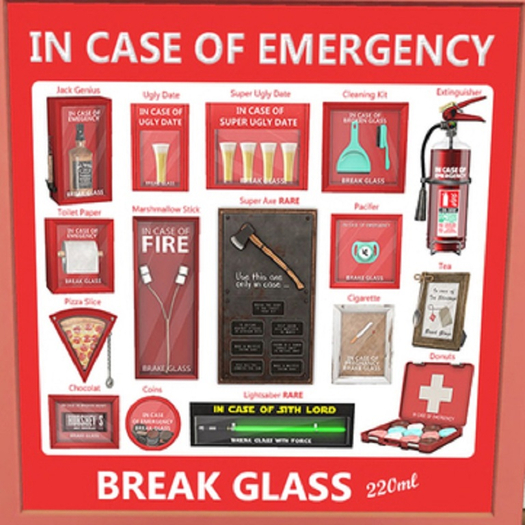 220ML - In case of Emergency - Cleaning Kit - COMMON