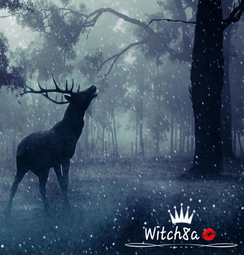 Cuadro :: Venado