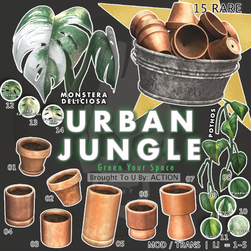 03 Action Urban Jungle - Terracotta C