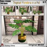 FC- FP Mesh Tropical Monstera in a Pot s-1 B