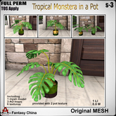 FC- FP Mesh Tropical Monstera in a Pot s-3 B