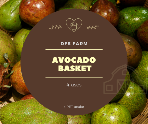DFS Avocado Basket