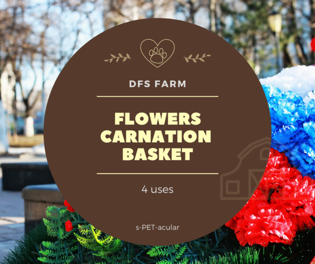 DFS Flowers - Carnation Basket 6