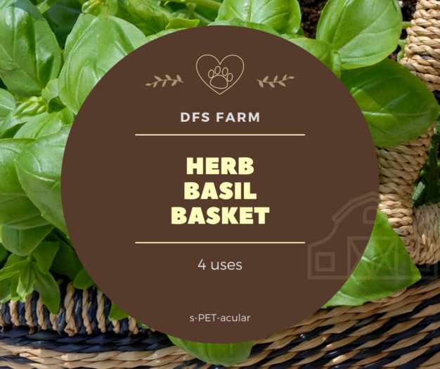 DFS Herb - Basil Basket