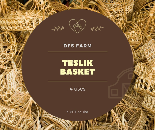 DFS Teslik Basket