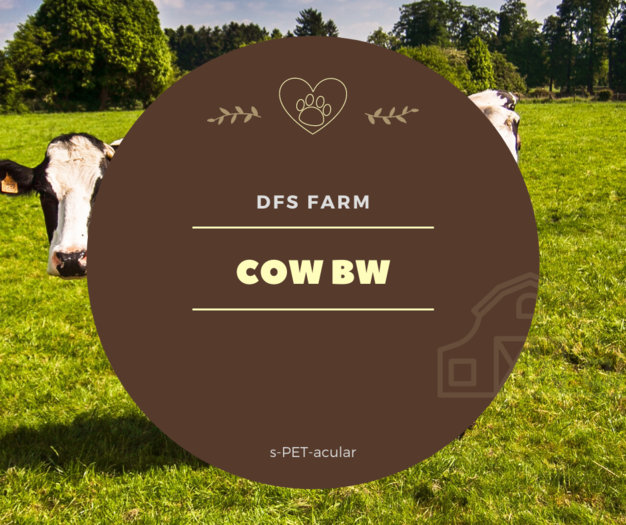 DFS Cow BW