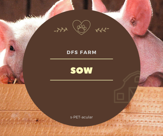 DFS Sow
