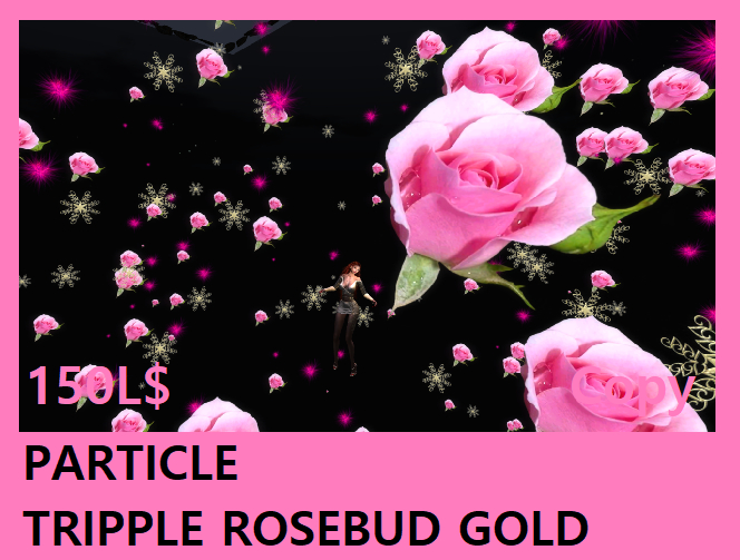 PARTICLE TRIPPLE ROSEBUD GOLD#