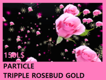PARTICLE TRIPPLE ROSEBUD GOLD