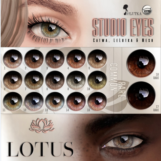 LOTUS. Studio Eyes 04 BOX