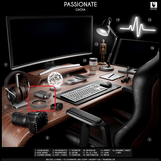 6. BAMSE : Passionate - Amp + cable