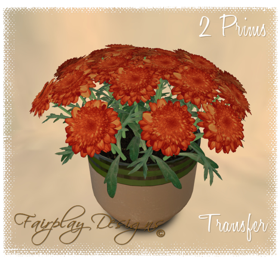 ~Indoor Orange Chryanthemums Plant~