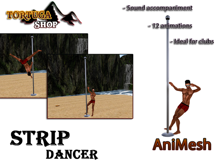 AniMesh Male StripDancer