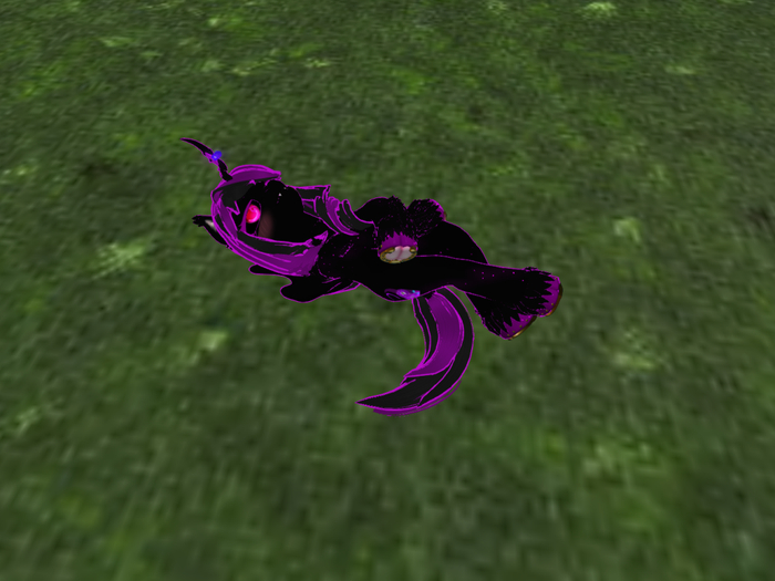 Magic_Pony_Lay