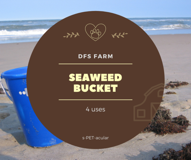 DFS Seaweed Bucket