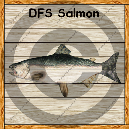 DFS Salmon TEXTURE