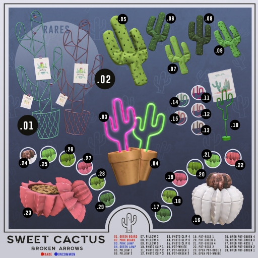 02 - BROKEN ARROWS - Sweet  Cactus - RARE