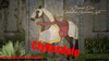 Paladinclydesdale