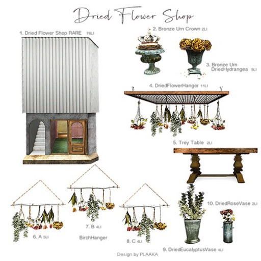 PLAAKA - Dried Flower Shop RARE