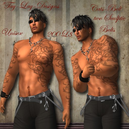 *Tay-Lay-Designs!!!-Cats-Belt