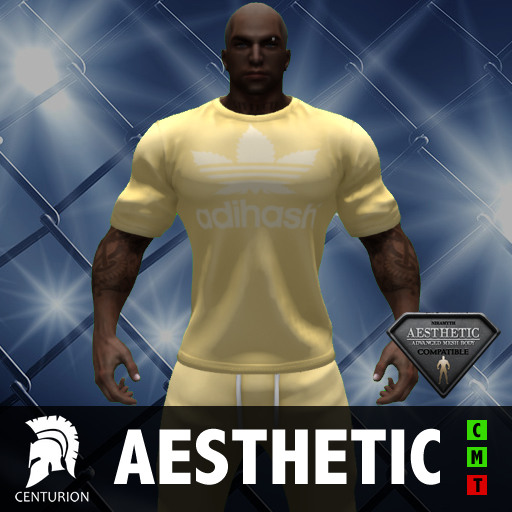CENTURION AES SHIRT ADIHASH BOX GOLD