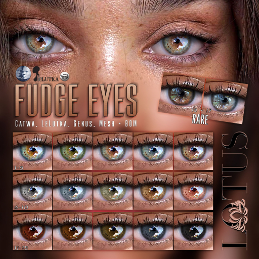 LOTUS. Fudge Eyes 05 BOX