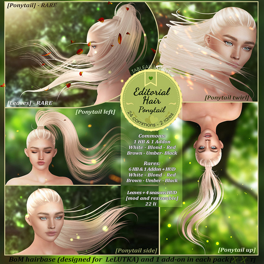 Tableau Vivant \\ Editorial hair - Ponytail side - Brown