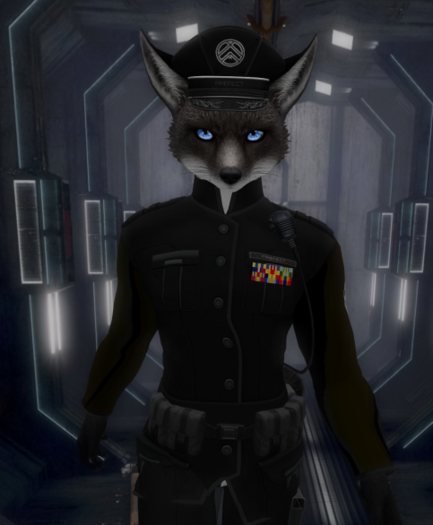 Military Ribbon Sets