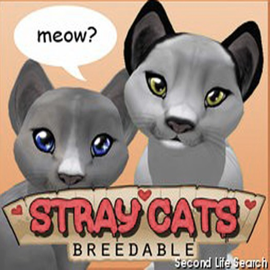 Stray Cats Unborn Kitten - Stray Kitty