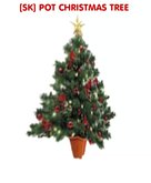 [SK] POT CHRISTMAS TREE