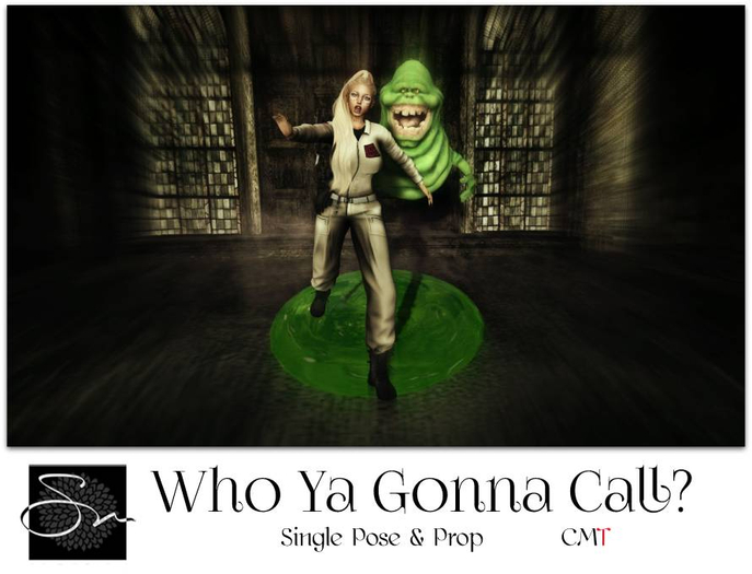 **SN~ Who Ya Gonna Call