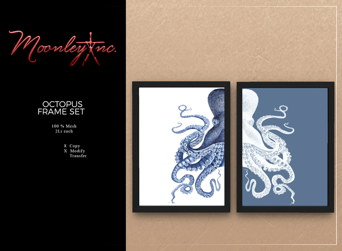 Moonley Inc. - Octopus Frame Set