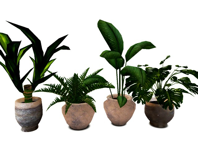Second Life Marketplace - [AE] Garden Store - Leafy House Plants Bundle