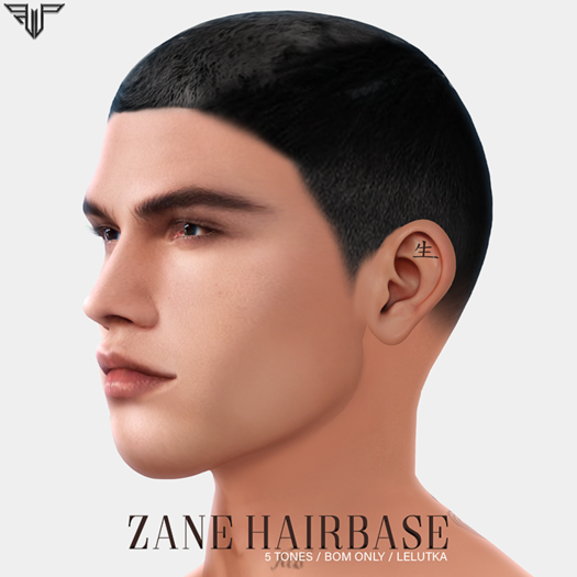 FT - Zane Hairbase