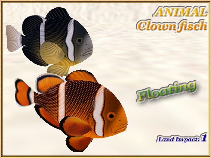 ANIMAL - Clown fisch (1 LI) (Full perm)