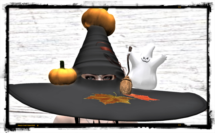 Halloween witch hat