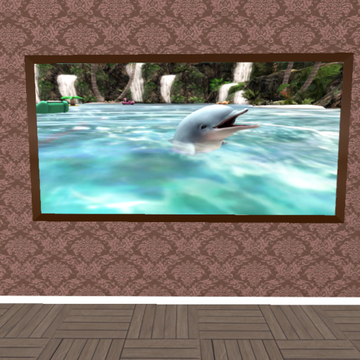 Dolphin picture