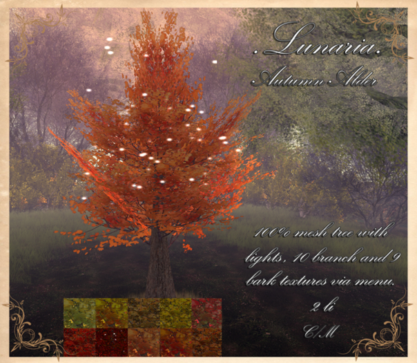 .Lunaria. Autumn Alder 