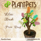 PlantPet Seed [Lilac Bush *Pixie Dust*] Box, Open Me