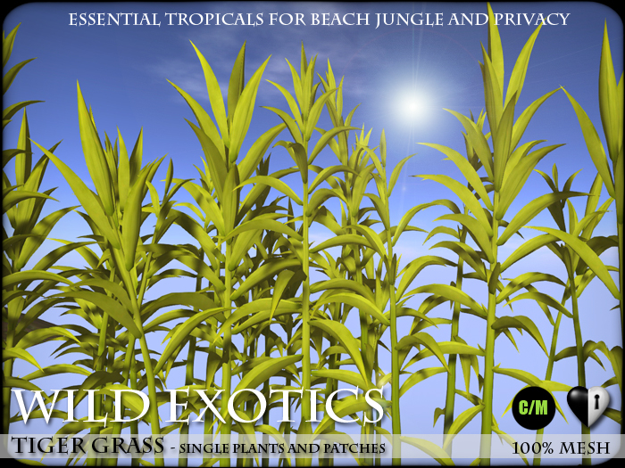 Heart - Wild Exotics - Tiger Grass