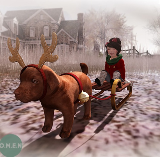 O.M.E.N - Waiting for Santa Paws - ReinDog COMPANION BOX