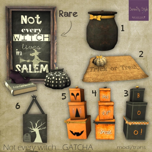 1Serenity Style- Not every witch POTION POT