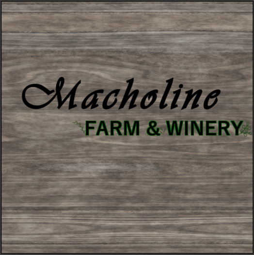 Tarta de queso / Cheesecake [G&S]