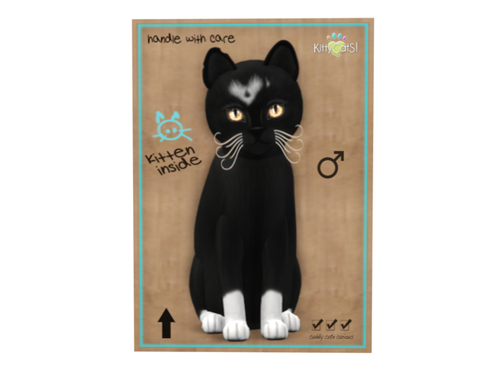 KittyCatS Box - 8 T - M - Genesis - Domino IV