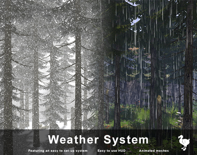 Snow and Rain System