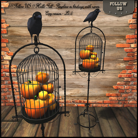 !! Follow US !! Pumpkins in birdcage with raven COPY BOX