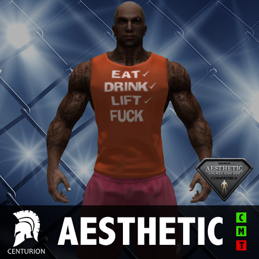 CENTURION AES VEST - EAT DRINK LIFT - RUST