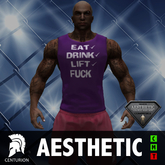 CENTURION AES VEST - EAT DRINK LIFT - PURPLE